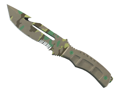 CS2 skin